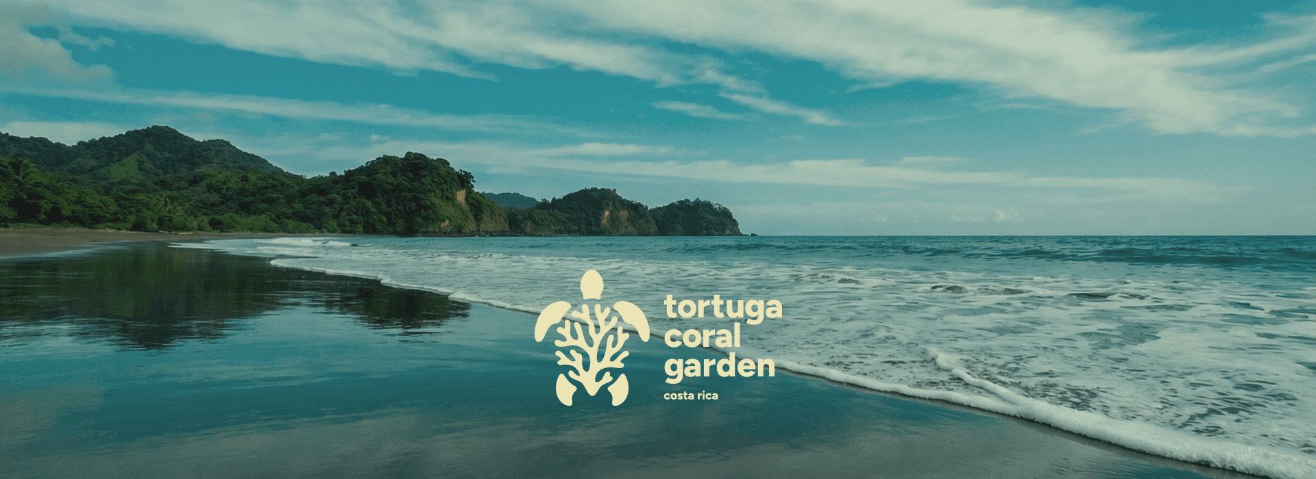 Tortuga Coral Gardens