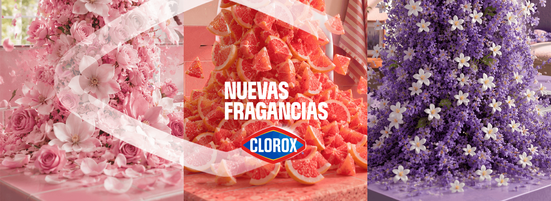Clorox LATAM